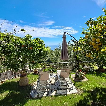 Florinda Lemon'S Suite Cervo Kültér fotó