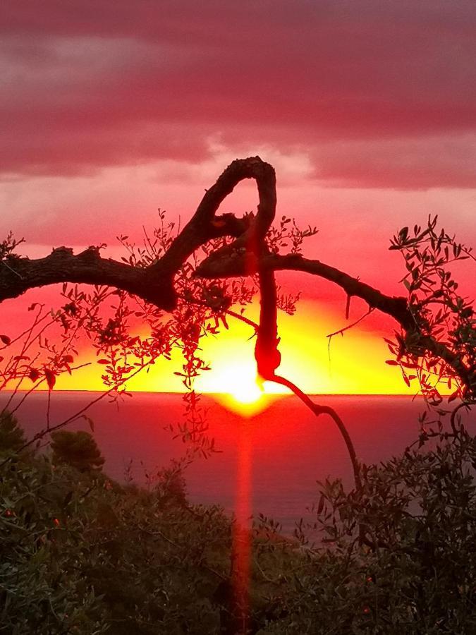 Florinda Lemon'S Suite Cervo Kültér fotó