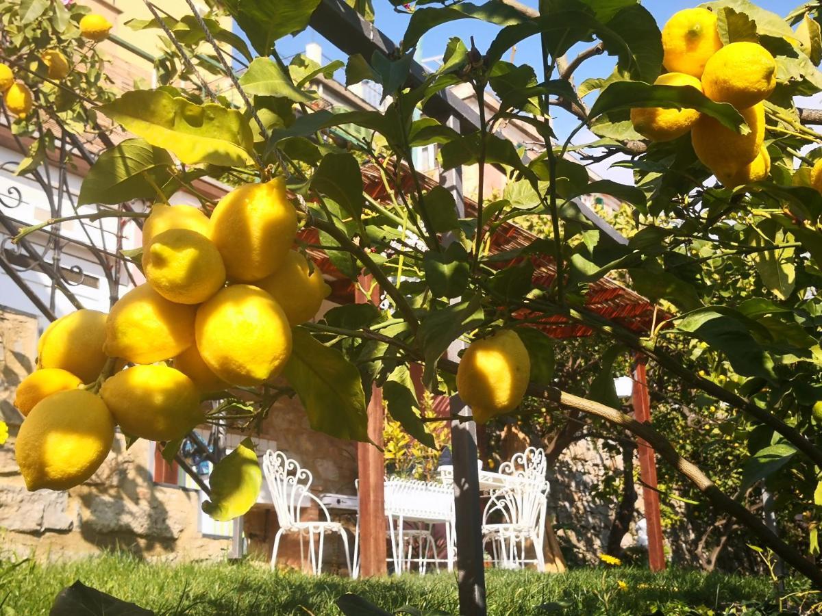 Florinda Lemon'S Suite Cervo Kültér fotó