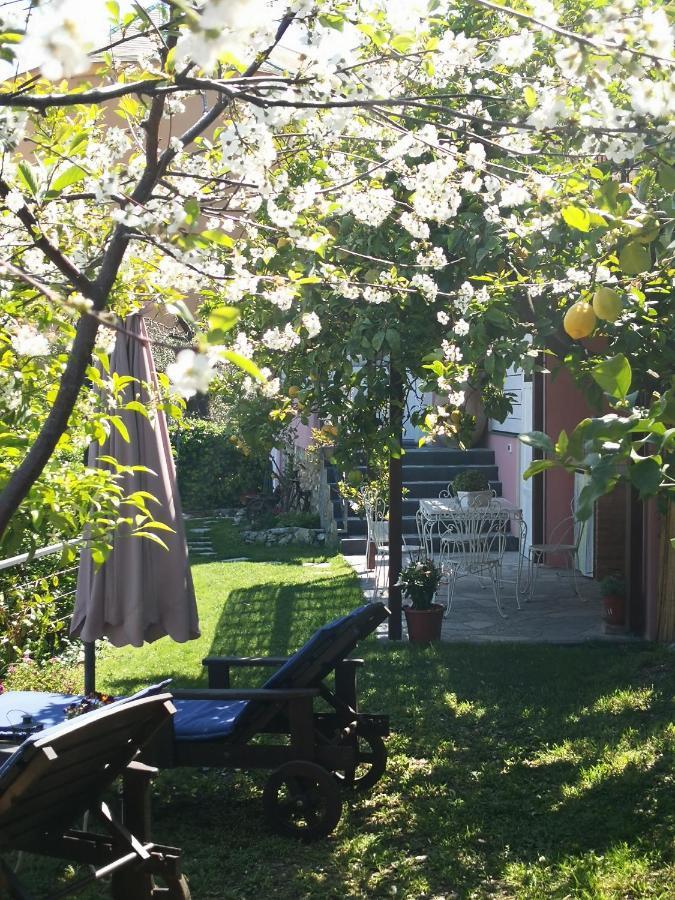 Florinda Lemon'S Suite Cervo Kültér fotó