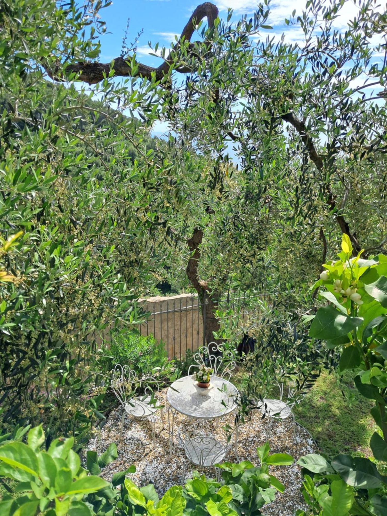 Florinda Lemon'S Suite Cervo Kültér fotó